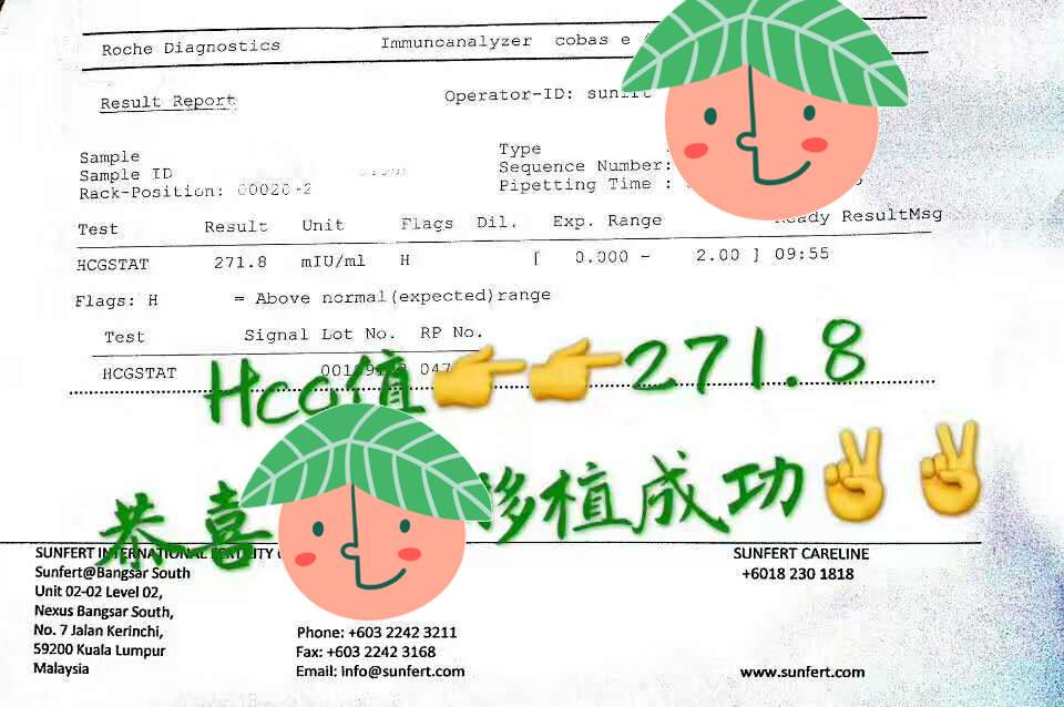 同爱为延续生命 赴马来西亚试管孕育龙凤胎
